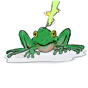 Illustration of a witch's finger touching a frog