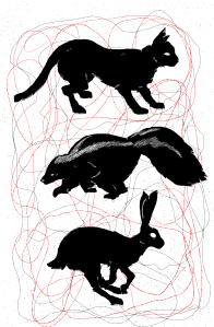 Image of silhouetted animals including cat, skunk, and rabbit