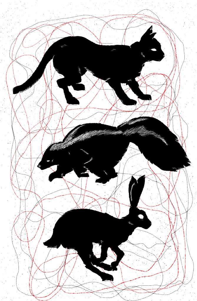 Image of silhouetted animals including cat, skunk, and rabbit