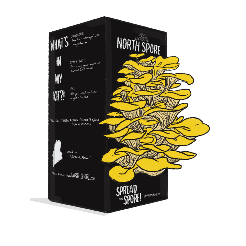 Illustration of mushroom growing kit from North Spore company